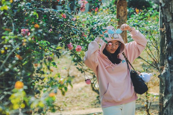 L'Art de la Pâtisserie Française Réinventée : Fusion Créative des Saveurs Traditionnelles et Contemporaines